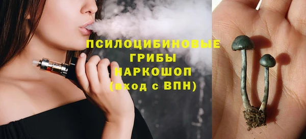 сатива Михайлов