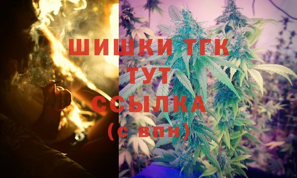 сатива Михайлов