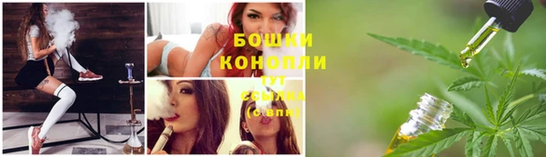 сатива Михайлов
