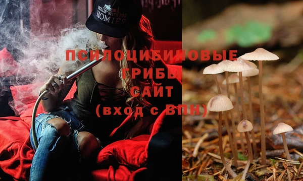 спайс Михайловск