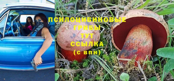 молекула духа Михайловка