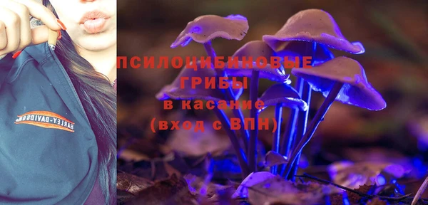 сатива Михайлов