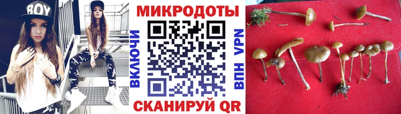 как найти закладки  Пустошка  Галлюциногенные грибы Magic Shrooms 